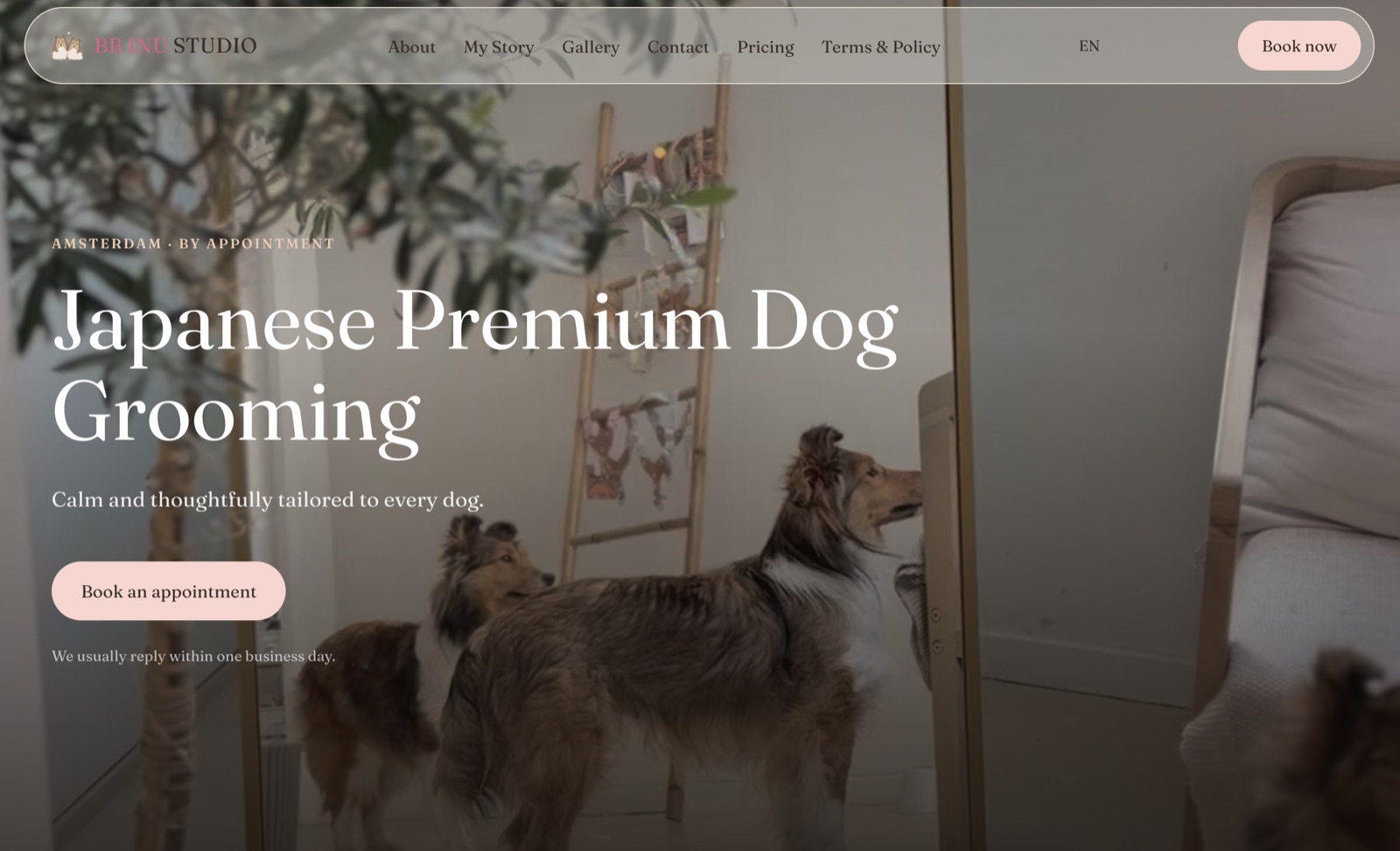 BB Inu Studio website